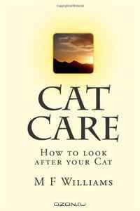 Cat Care: How to look after your Cat