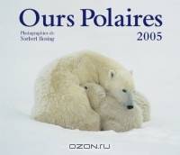 Ours Polaires 2005