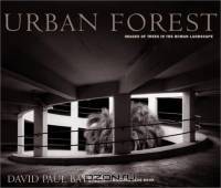 Urban Forest: Images of Trees in the Human Landscape