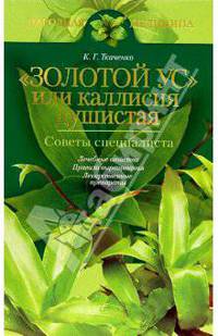 "Золотой ус", или каллисия душистая. Советы специалиста