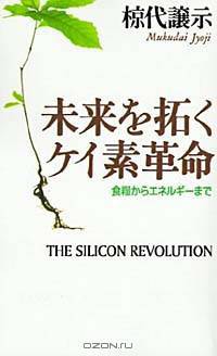 Silicon Revolution