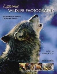 Dynamic Wildlife Photography