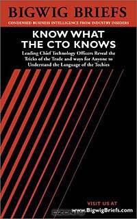 Know What the CTO Knows - A Straightforward, Easy to Understand Brief on What Every Business Professional Should Know About Technology