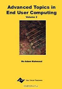 Advanced Topics in End User Computing, Vol. 2
