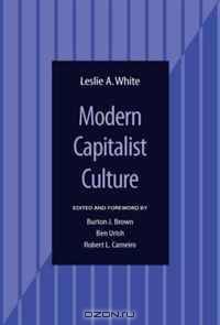 Modern Capitalist Culture