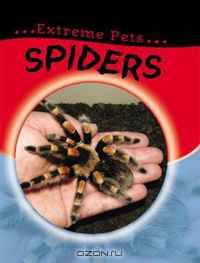 Spiders (Extreme Pets)