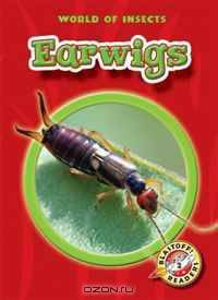 Earwigs (World of Insects)