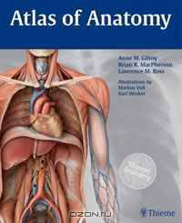 Atlas of Anatomy (Thieme Anatomy)