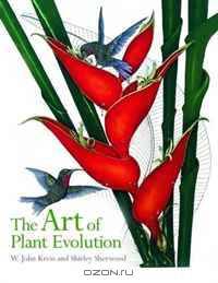 The Art of Plant Evolution