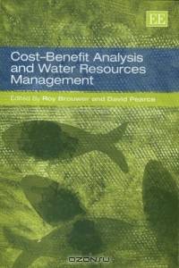 Cost-Benefit Analysis And Water Resources Management
