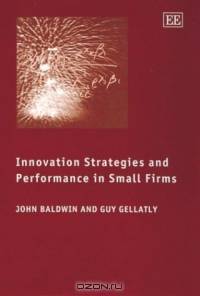 Innovation Strategies and Performance in Small Firms
