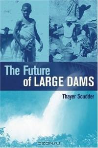 The Future Of Large Dams: Dealing With Social, Environmental, Institutional and Political Costs
