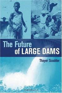 The Future of Large Dams: Dealing with Social, Environmental, Institutional and Political Costs