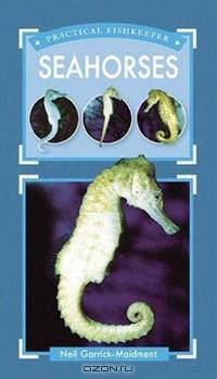 Seahorses