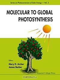 Molecular to Global Photosynthesis (Photoconversion of Solar Energy)