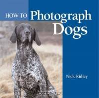 How to Photograph Dogs