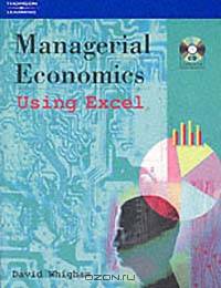 Managerial Econpmics Using Excel