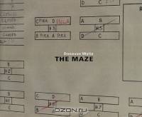 The Maze: Donovan Wylie