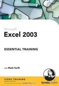 Learning Microsoft Excel 2003