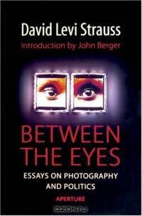 Between the Eyes: Essays on Photography