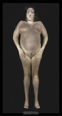 Gary Schneider: Nudes