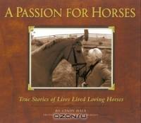 A Passion for Horses: My Conversation With Horse Lovers
