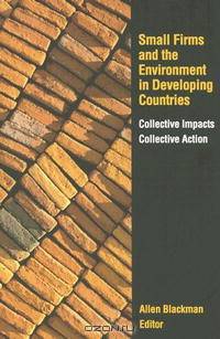 Small Firms and the Environment in Developing Countries: Collective Impacts, Collective Action
