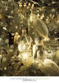 Lynn Goldsmith: The Looking Glass