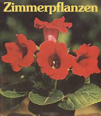 Zimmerpflanzen