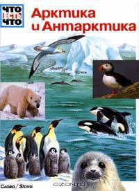 Арктика и Антарктика