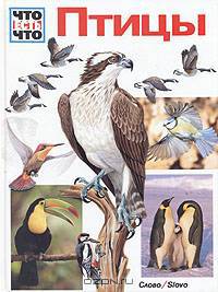 Птицы