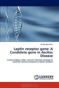Leptin receptor gene: A Candidate gene in Ascites Disease: Implementing marker assisted selection strategy to breed for ascites resistance in broiler chicken