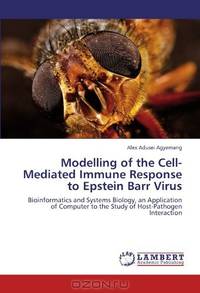 Modelling of the Cell-Mediated Immune Response to Epstein Barr Virus: Bioinformatics and Systems Biology, an Application of Computer to the Study of Host-Pathogen Interaction