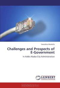 Challenges and Prospects of E-Government: In Addis Ababa City Administration