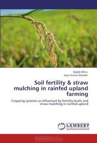 Soil fertility & straw mulching in rainfed upland farming: Cropping systems as influenced by fertility levels and straw mulching in rainfed upland