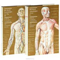 Human anatomy (комплект из 2 книг)