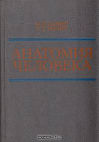 Анатомия человека