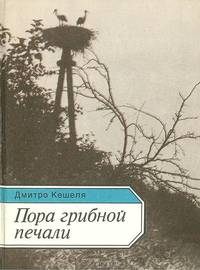 Пора грибной печали
