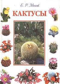 Кактусы