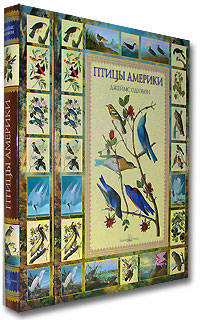 Птицы Америки (эксклюзивное подарочное издание)
