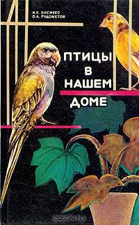 Птицы в нашем доме