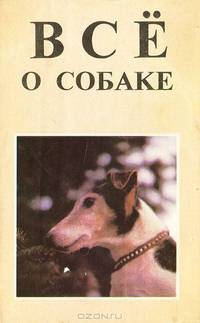 Все о собаке