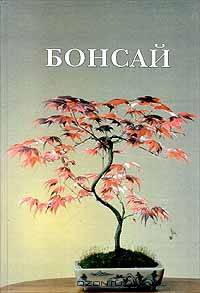 Бонсай