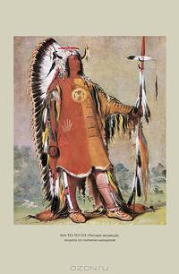 Песнь о Гайавате (подарочное издание)