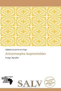 Anisomorpha buprestoides (German Edition)