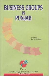 Business Groups in Punjab