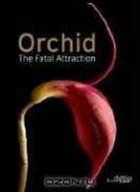 Orchid: The Fatal Attraction