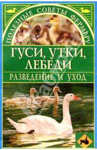 Гуси, утки, лебеди. Разведение и уход