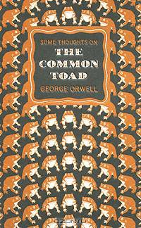 Some Thoughts on the Common Toad