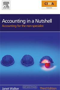 Accounting in a Nutshell: Accounting for the non-specialist